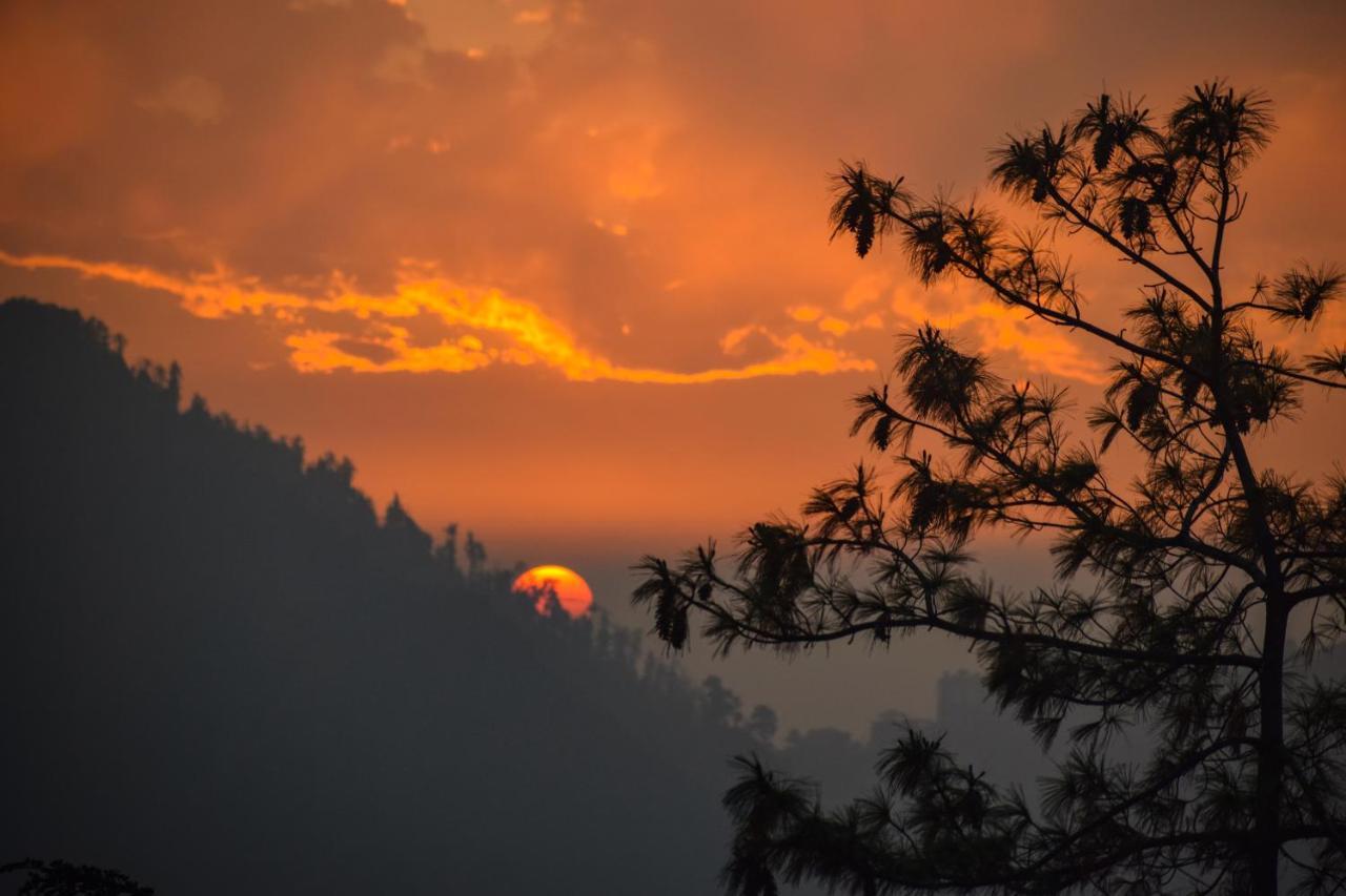 Aachman Nature Valley Resort, Mashobra Шимла Екстериор снимка